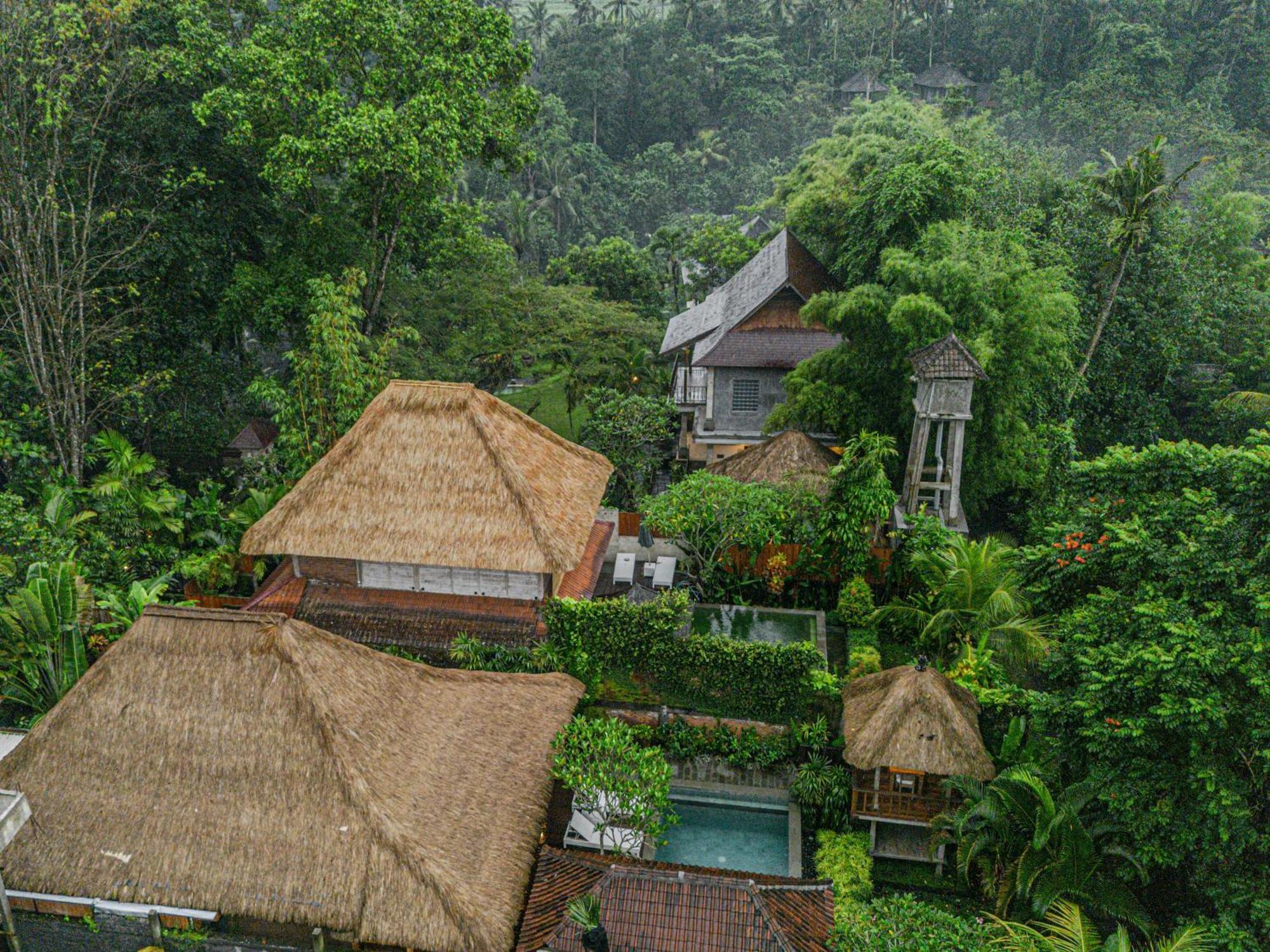 Villa Bedauh Ubud Exteriör bild